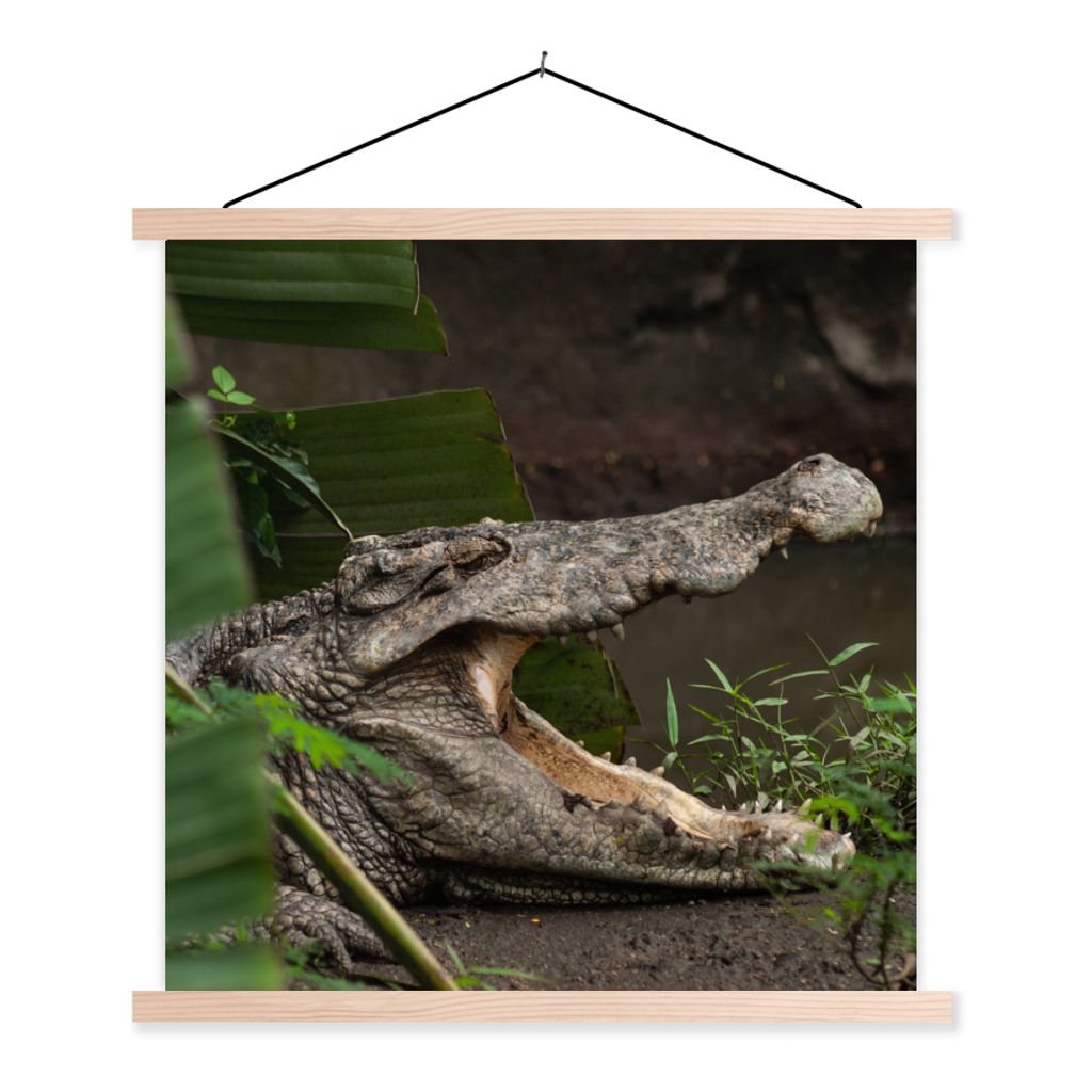 MuchoWow Textilposter Krokodil mit offenem Maul 40x40 cm mit holzfarbenen Rahmen - Posterleiste