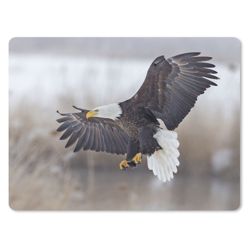MuchoWow Mauspad Mousepad Ein amerikanischer Weißkopfseeadler mit ausgebreiteten Flügeln. 40x30 cm - Mousepads - Maus Mat - Pad - Mausunterlage...