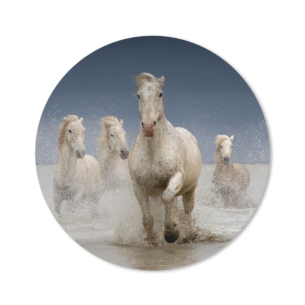 MuchoWow Mauspad Mousepad Pferde - Wasser - Schlamm 50x50 cm - Mousepads - Maus Mat - Pad - Mausunterlage - Vinyl