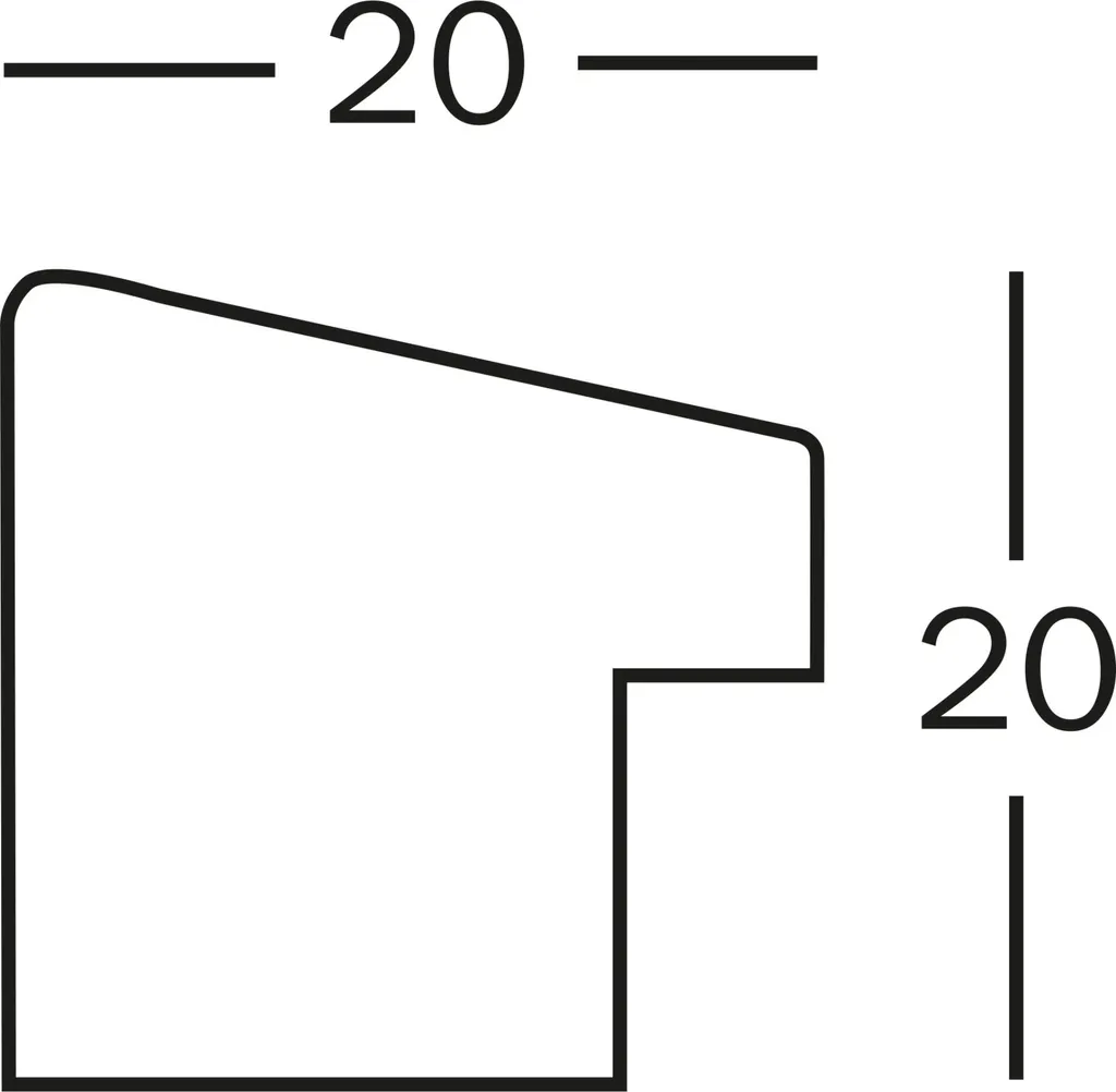 Cornice Walther Fiorito Bianca 30x45 Legno EF045W con Passepartout - 3