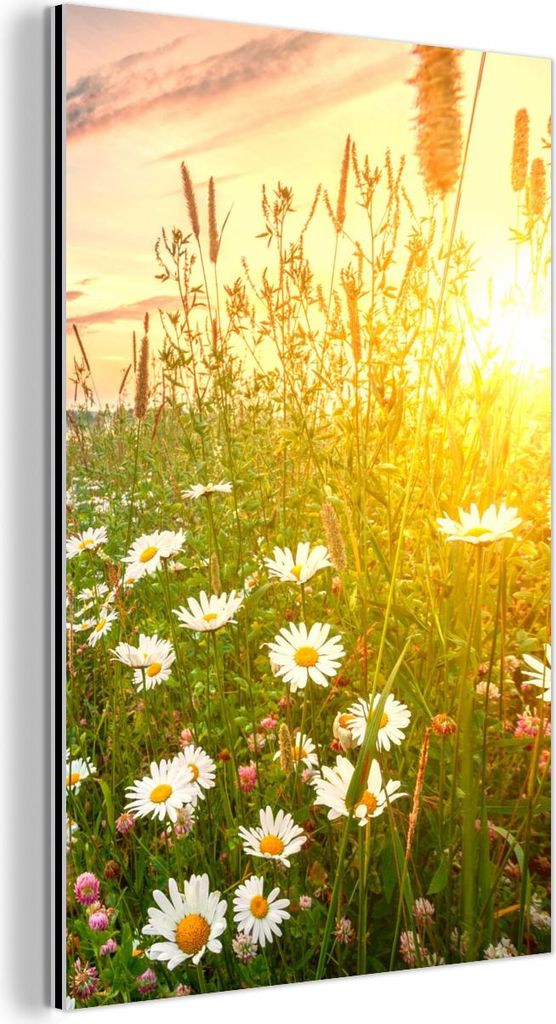 MuchoWow Wanddekoration Metall Metallbild Wandkunst 20x30 cm Blumen - Gänseblümchen - Natur - Sonne - Horizont MuchoWow Aluminium Gemälde - Alu ...