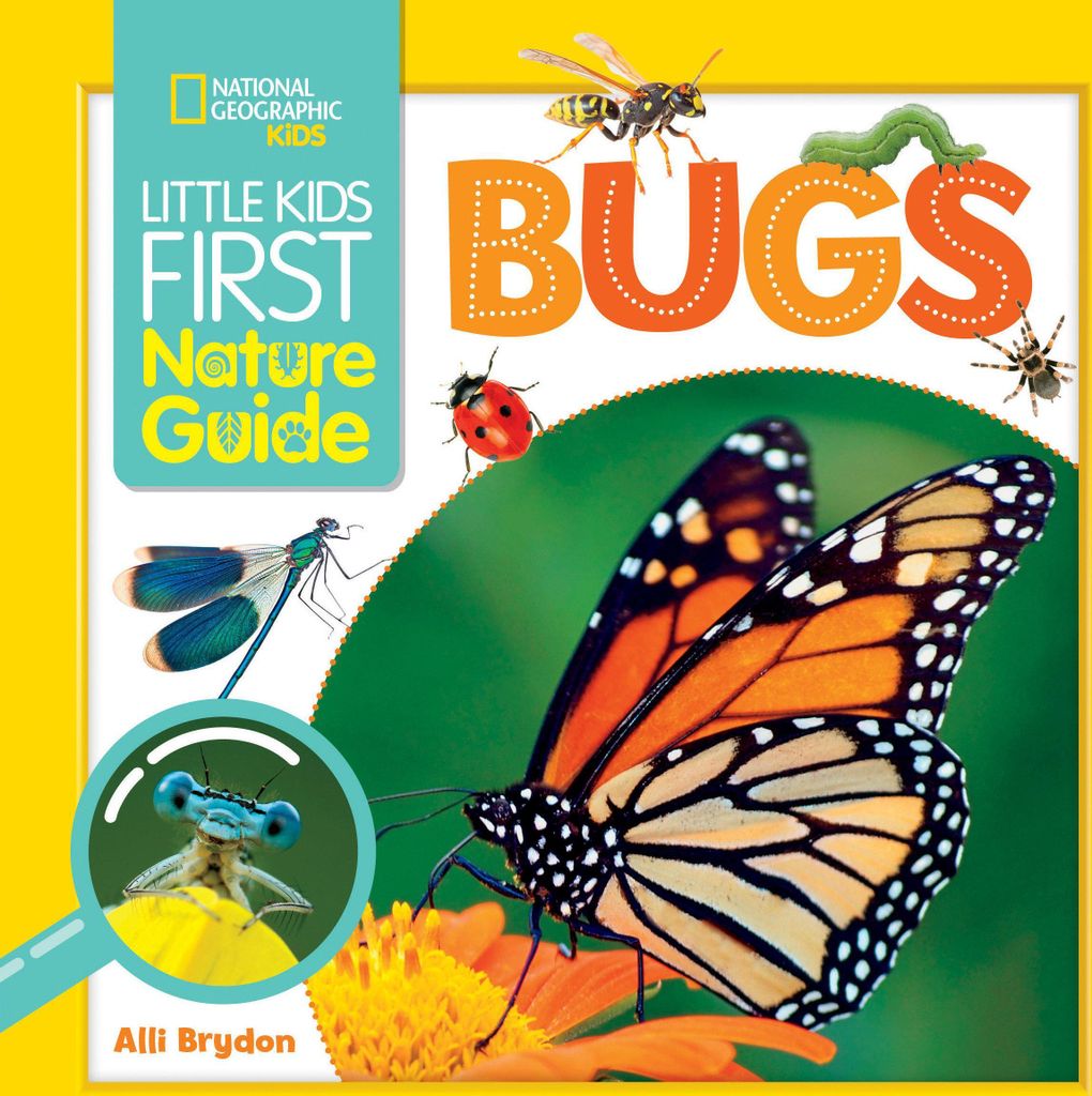 Little Kids First Nature Guide Bugs