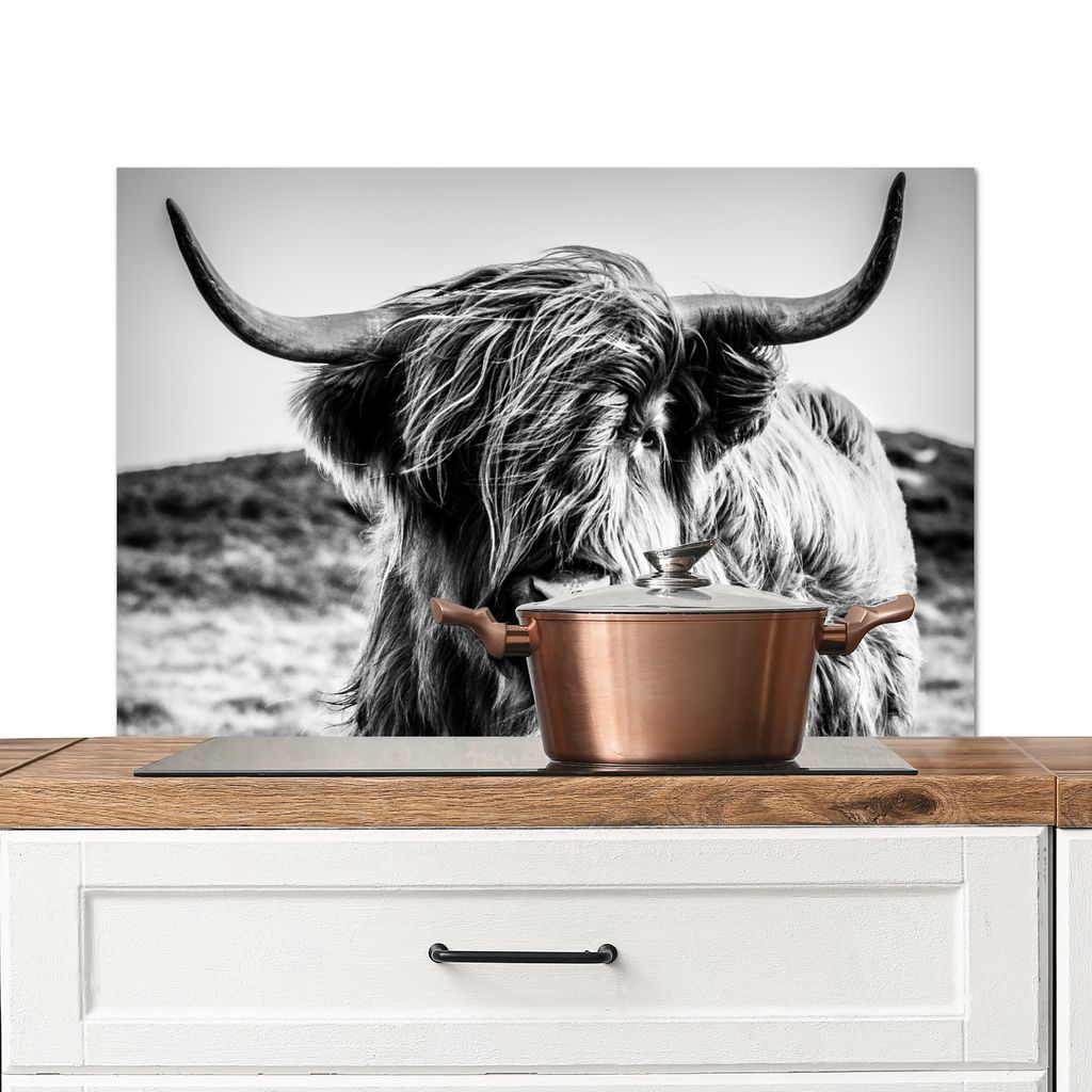 KitchenYeah Spritzschutz Küche - Küchenrückwand - Wandschutz für Herd und Spüle - Schottisches Hochlandrind - Natur - Kuh - Schwarz - Weiß ...