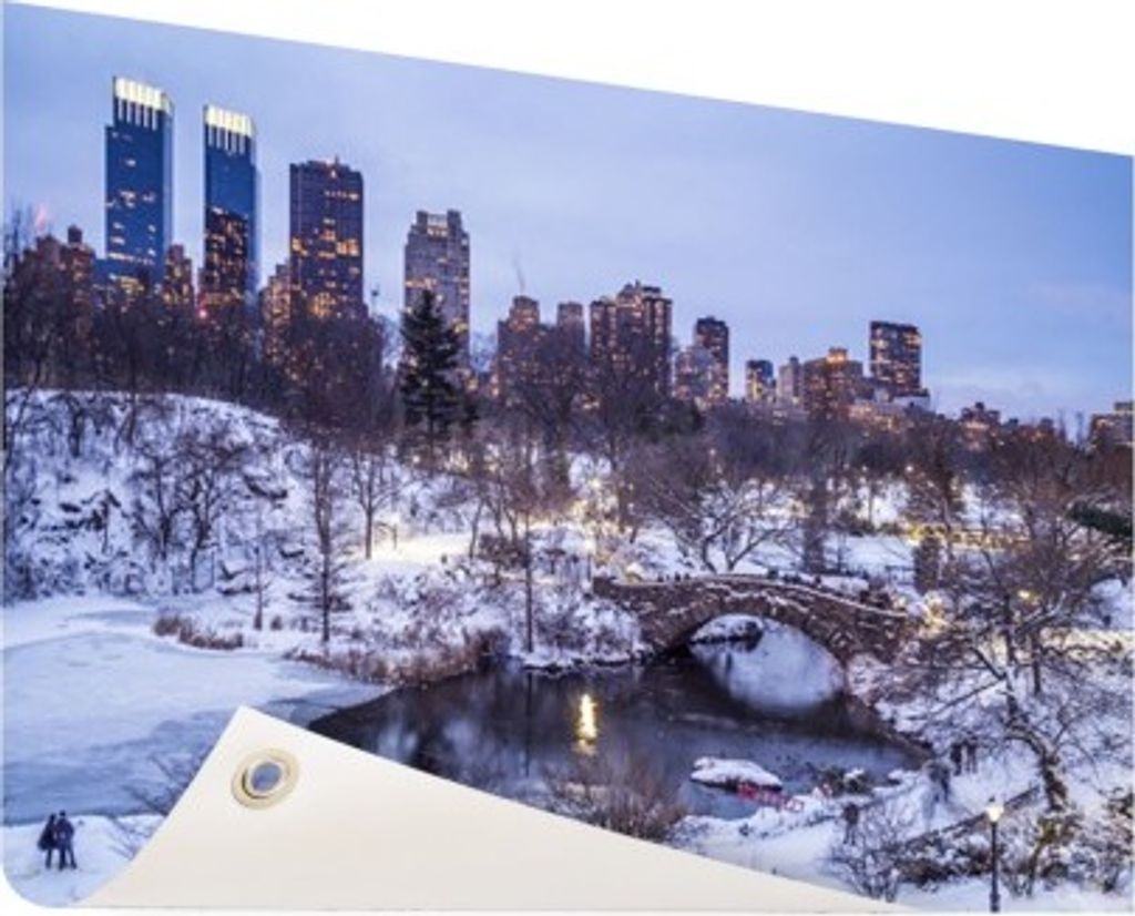 Gartenposter - 60x40 cm - Central Park NY im Winter - Modernes Wandbilder - Amerikanische Städte