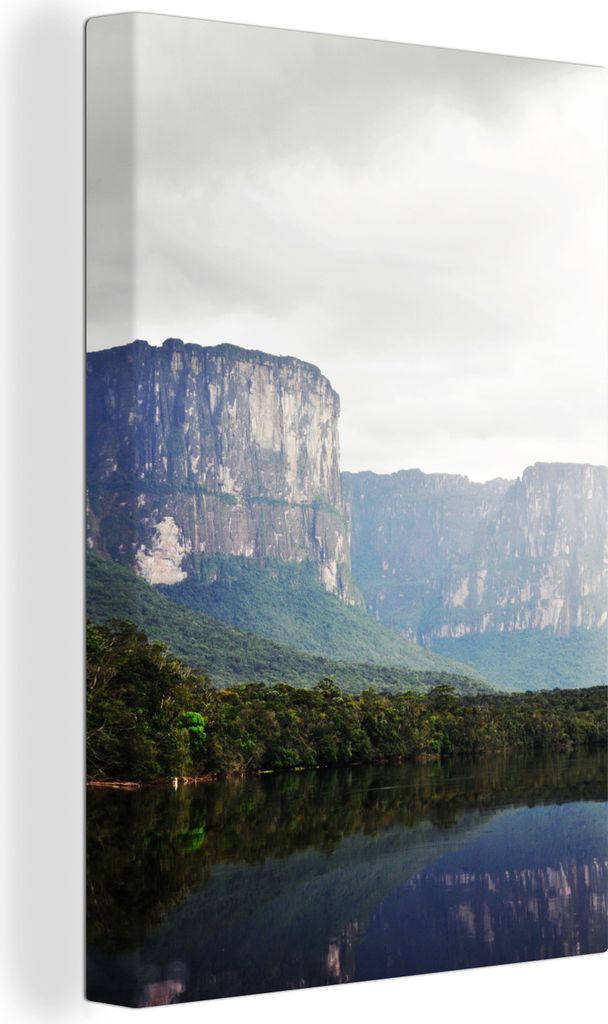 OneMillionCanvasses - Leinwandbilder - 90x140 cm, Die Dschungel- und Berglandschaft des Canaima-Nationalparks in Venezuela, Wandbilder Kunstdruck...