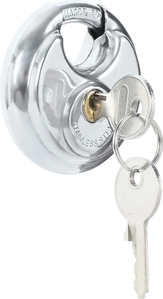 Lucchetti Argento vidaXL in Acciaio Inox - Proteggi i Tuoi Valori