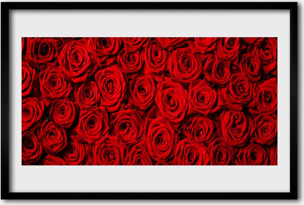 Bild 60x40 MDF-Rahmen Wandkunst Rosen auf Wand