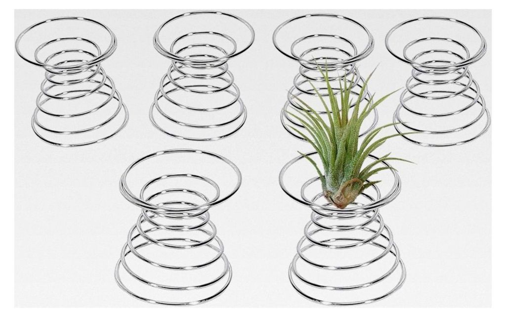 6 Stück Edelstahl Halter für Luftpflanzen Tillandsia Pflanzengefäße Hängende Metallhalter Luft Ananas Basis