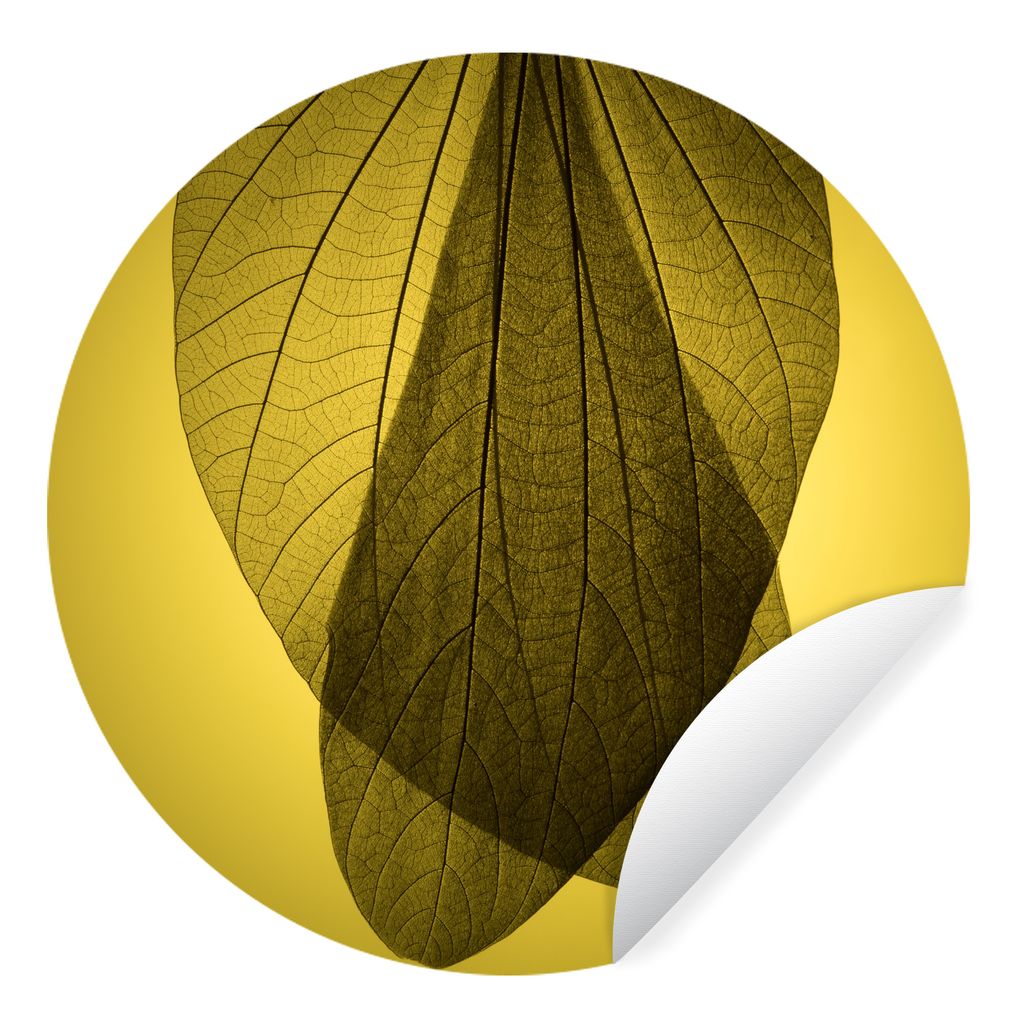 MuchoWow Runde Wandtattoo - Wandsticker Tapete Aufkleber Skelett mehrerer botanischer Blätter auf gelbem Hintergrund Ø 80 cm Selbstklebend und ...