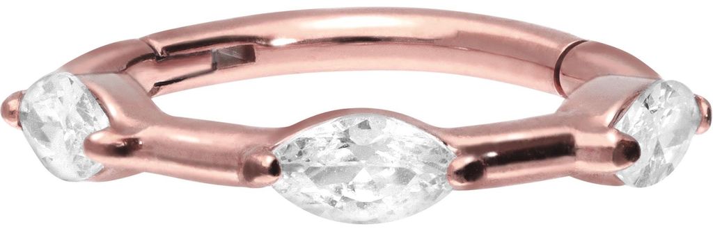 Ohrpiercing, Nasenpiercing, Septum Piercing Chirurgenstahl Segmentring Clicker EINGEFASSTE KRISTALLE RoséGold Innendurchmesser: 8 mm