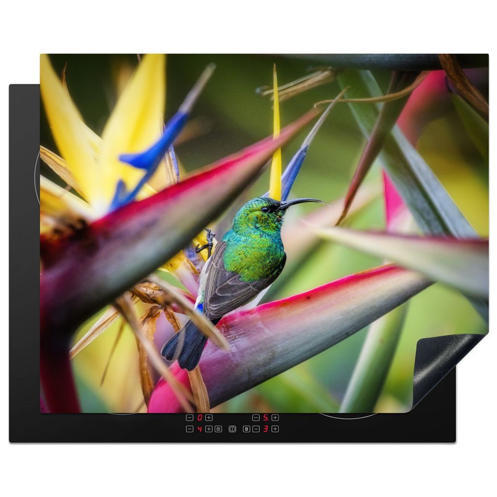 KitchenYeah Herdabdeckplatte Bunter Vogel zwischen all den bunten Tellern , 65x52cm, Küche Deko, Glaskeramikkochfeld Herdabdeckung, Abdeckplatte...
