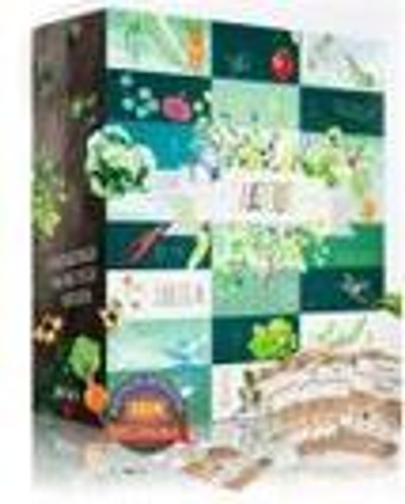 BOXILAND Saatgut Adventskalender 2025 – 24 Sorten Gemüse, Kräuter, Obst, ideal für Gartenfreunde und Gärtner, Adventskalender mit Samen zum...