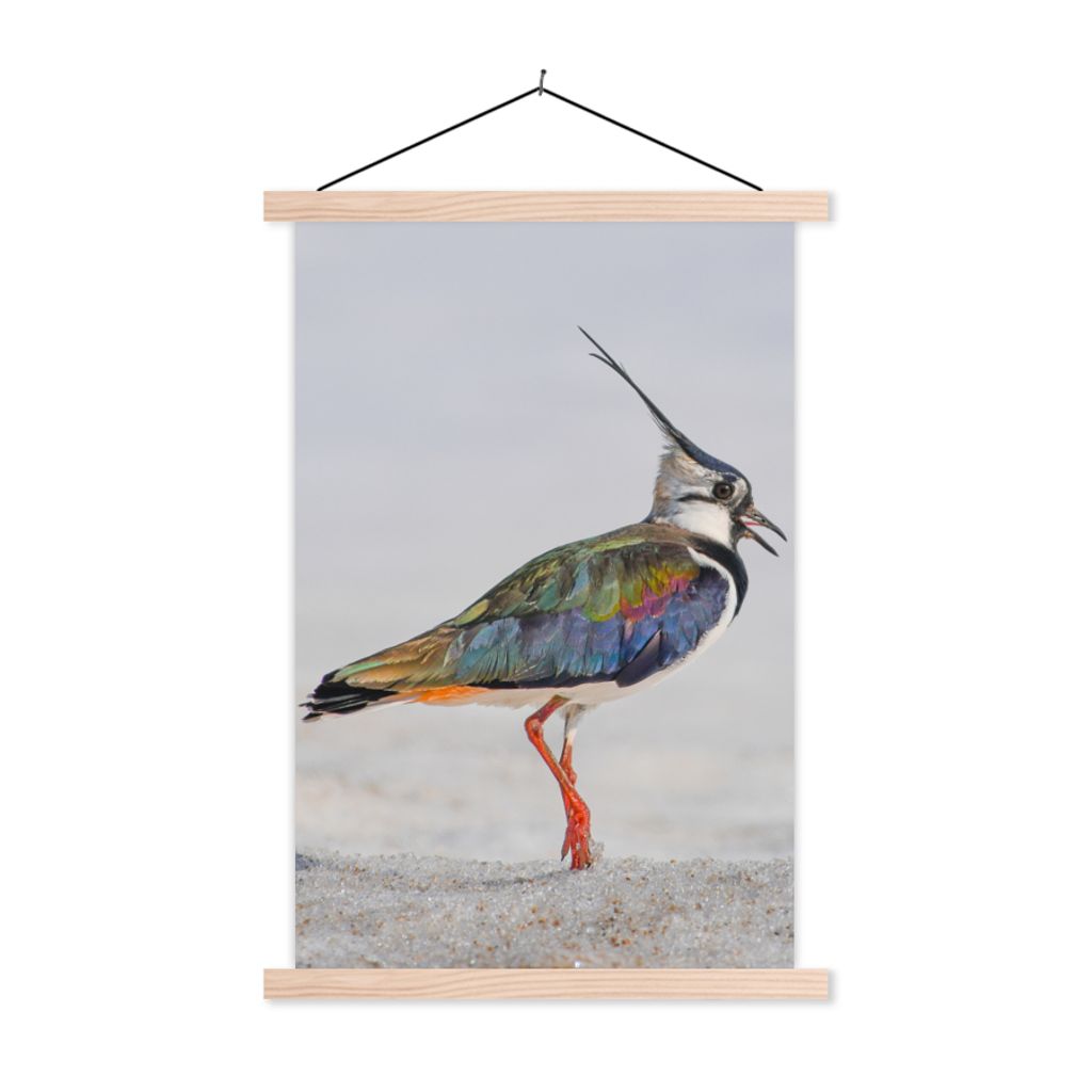 MuchoWow Textilposter Vogel - Tiere - Sand - Kiebitz 60x90 cm mit holzfarbenen Rahmen - Textil