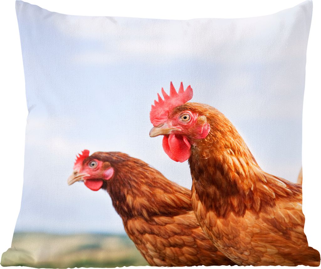 MuchoWow Zierkissen Sofakissen Wohnzimmer Dekokissen 45x45 cm Nahaufnahme von zwei Hühnern - Schlafpolster - Polster für das Sofa