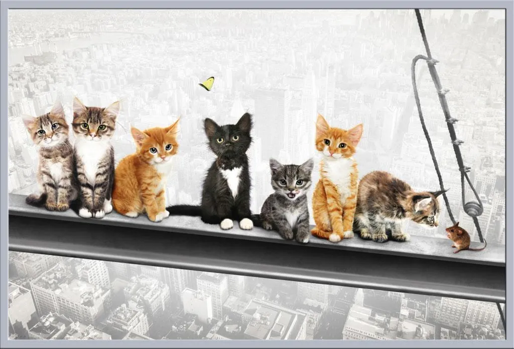 Affiche Chats sur Poutres avec Cadre Argenté et Protection Acrylique