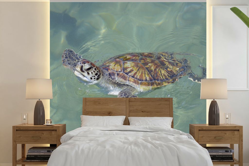MuchoWow Fototapete für Wohnzimmer oder Schlafzimmer Wandtapete Vinyl Motivtapete Schildkröte schwimmt im Wasser - 280x280 cm - Hintergrundbild