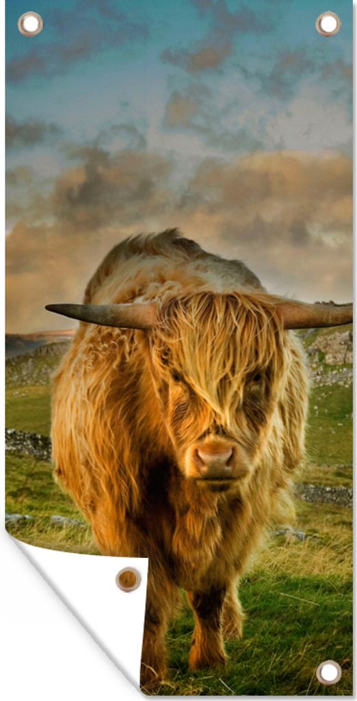 MuchoWow 40x80 cm Outdoor-Poster Gartendeko Sichtschutz Garten Poster für den Garten Schottischer Highlander - Gras - Berg