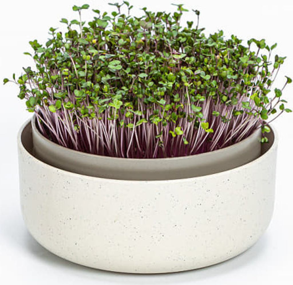 Plastia Urbalive Keimsprosskit für Microgreens, Elfenbein Produktbild 