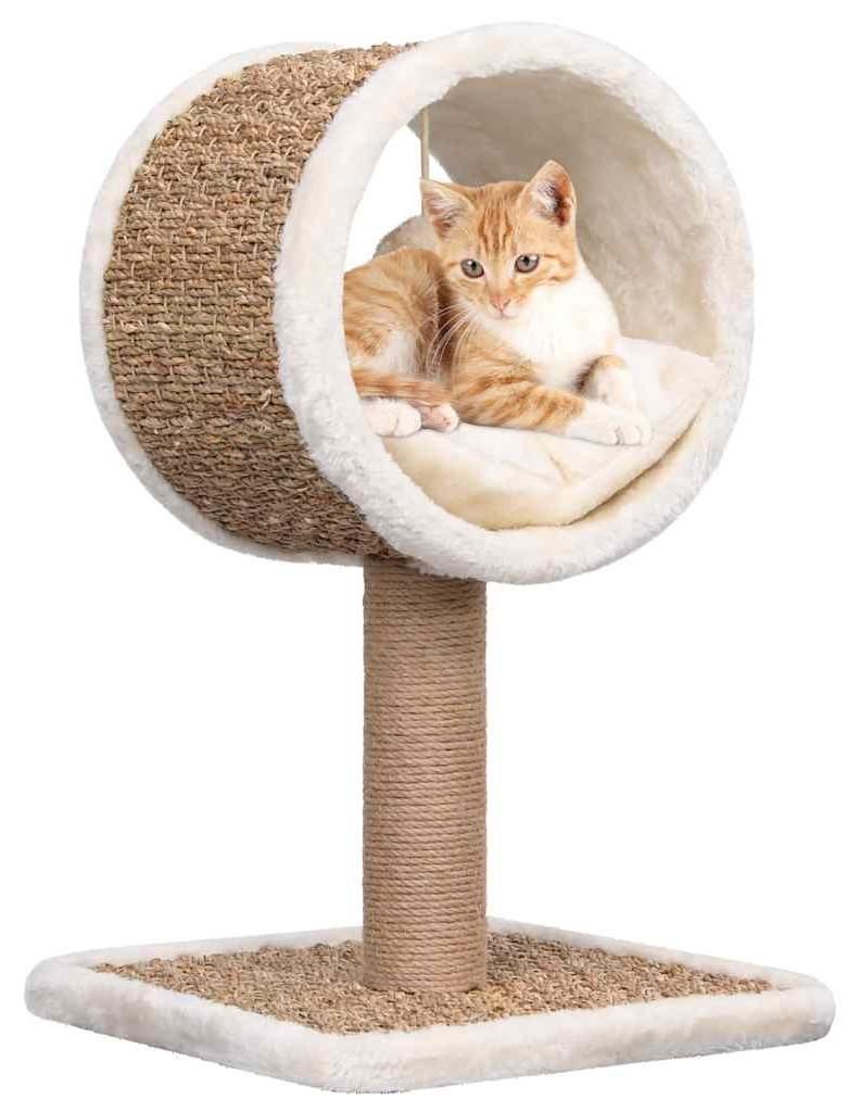 vidaXL Strom pro kočky s tunelem a hračkou 56 cm Mořská Obrázek produktu 