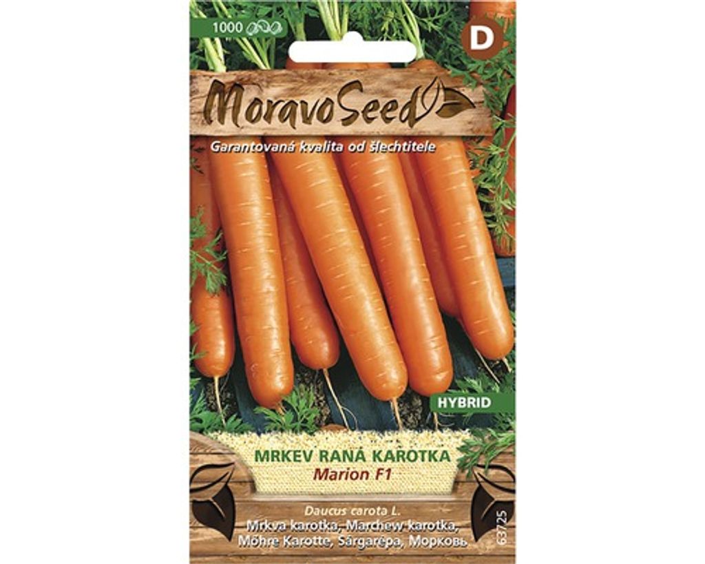 Frühe Karotte MARION F1 MoravoSeed
