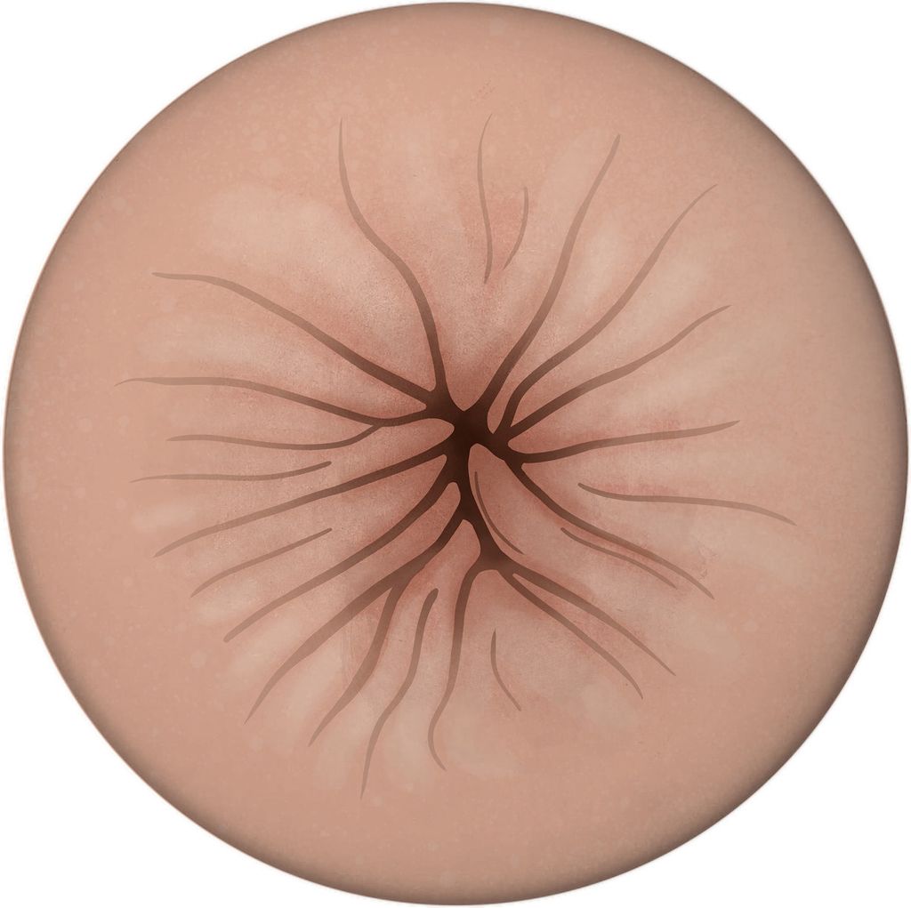 Anus Magnet rund mit Flaschenöffner mit Rosette