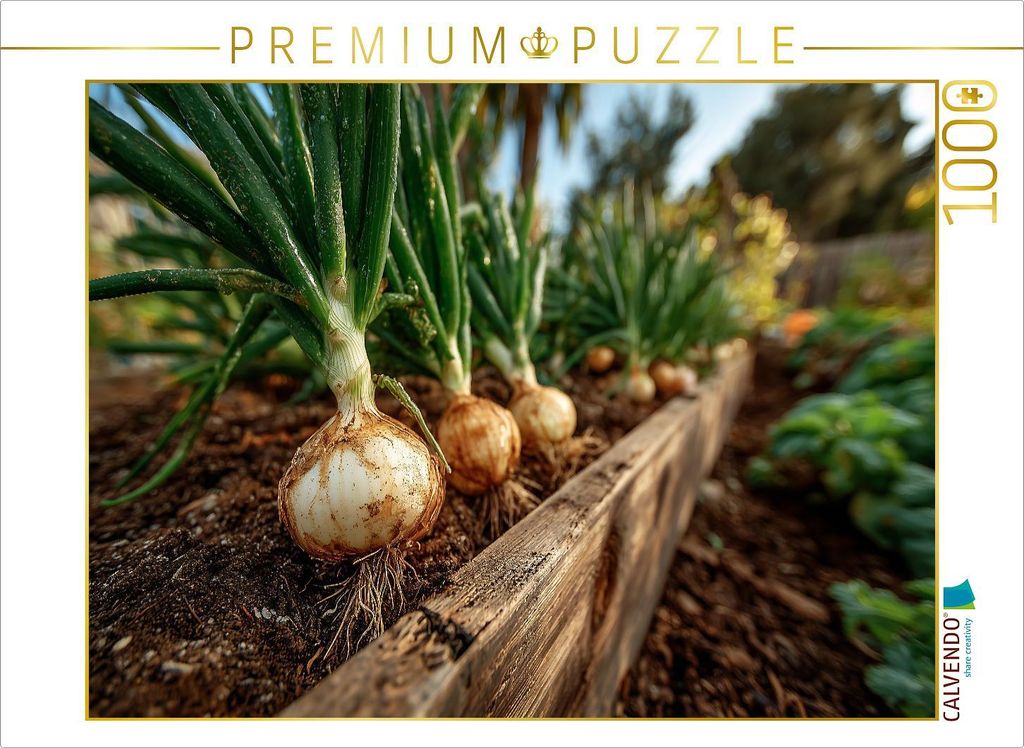 CALVENDO Puzzle Frische Zwiebeln wachsen im Gartenbeet | 1000 Teile Lege-Größe 64x48cm Foto-Puzzle für glückliche Stunden