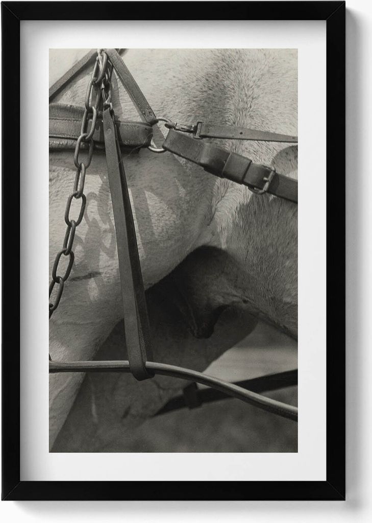 Nahaufnahme eines Pferdegeschirrs– Wandbild mit Rahmen – Gerahmtes Bild – Wanddekoration – 40x60 cm – Schwarz