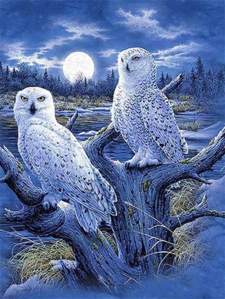40x30 cm Diamanten Malerei Zum Selbermachen Diamond Painting Eulen und der Mond