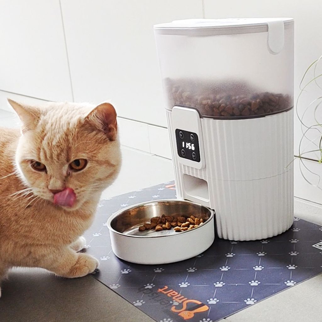 Futterautomat für Katze mit Zeitschaltuhr, automatischer Produktbild 