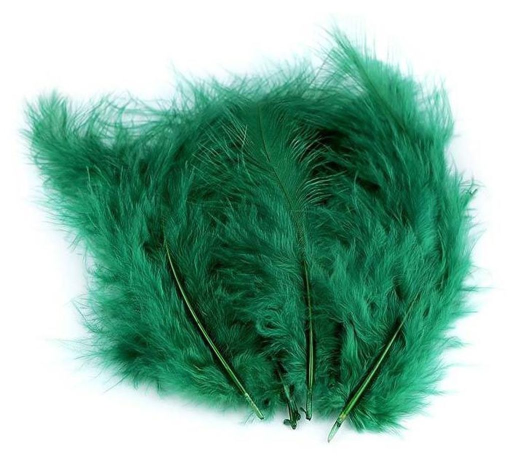 Piume di struzzo verdi 9-16 cm Immagine del prodotto 