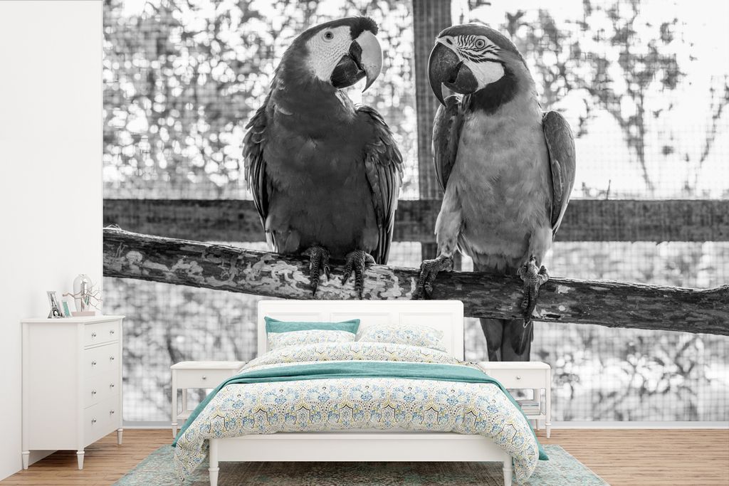 MuchoWow Fototapete für Wohnzimmer oder Schlafzimmer Wandtapete Vinyl Motivtapete Zwei Ara-Papageien auf einem Zweig in Schwarz und Weiß - 525x...
