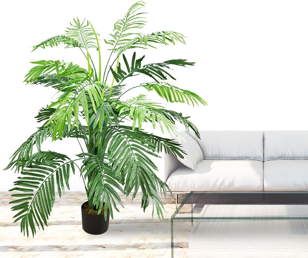 afrikanischer gummibaum Gummibaum Abidjan ca 100 cm  Ficus elastica  3 Pflanzen im Topf  XXL  Zimmerpflanze  Indischer Gummibaum  pflegeleicht & dekorativ