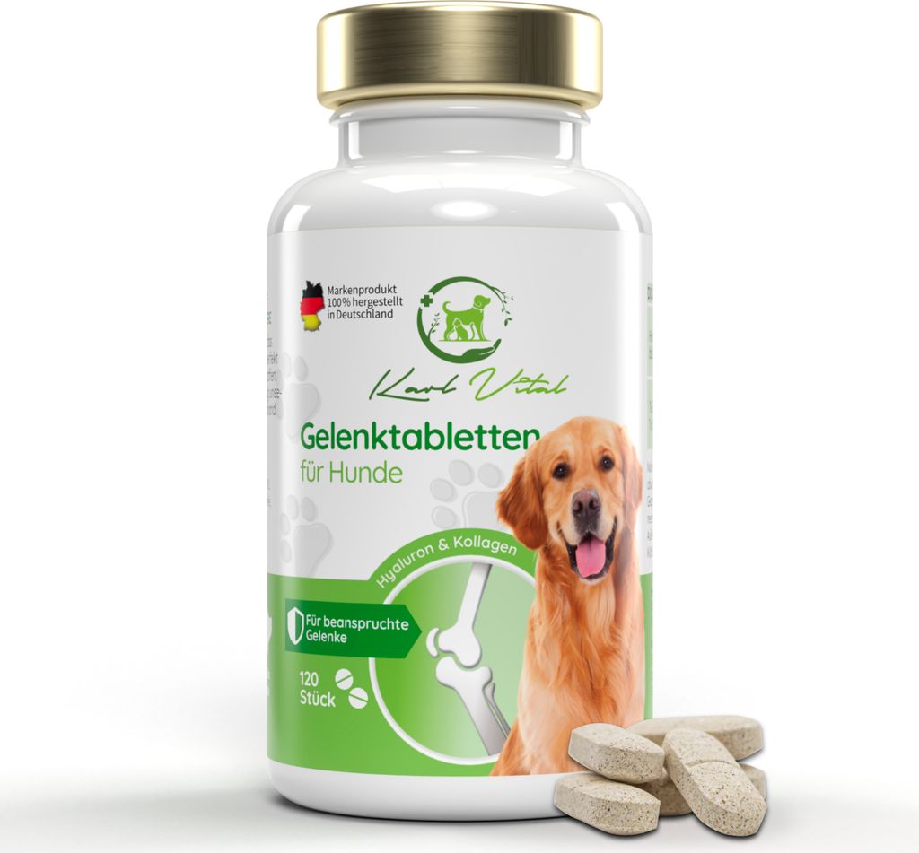 Gelenktabletten für Hunde Grünlippmuschel MSM Teufelskralle Kollagen 120 Stück
