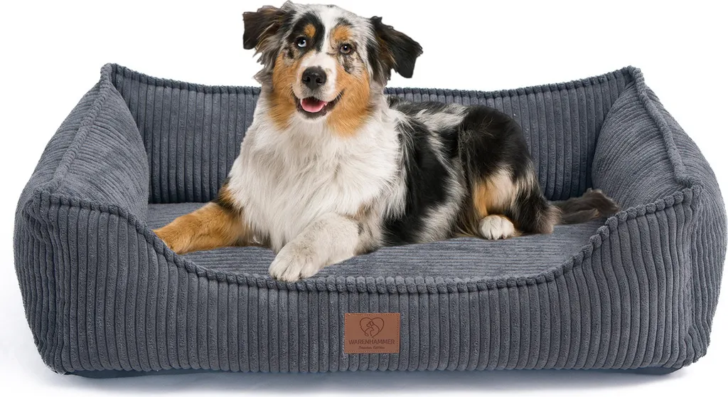 Lit orthopédique chien lavable : fini les douleurs et les mauvaises odeurs