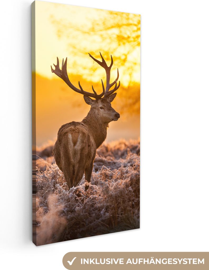 MuchoWow - Leinwandbilder - Hirsche - Tiere - Sonnenuntergang - Winter - Heidekraut - Natur, Wandbild, Wanddeko Bilder Wohnzimmer, 40x80 cm