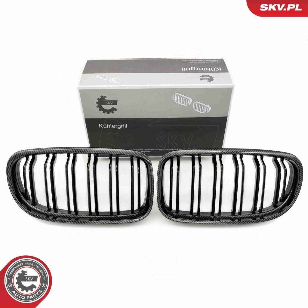 ESEN SKV 66SKV103 Kühlergrill Frontgrill für BMW 3 Coupe (E92) Carbon