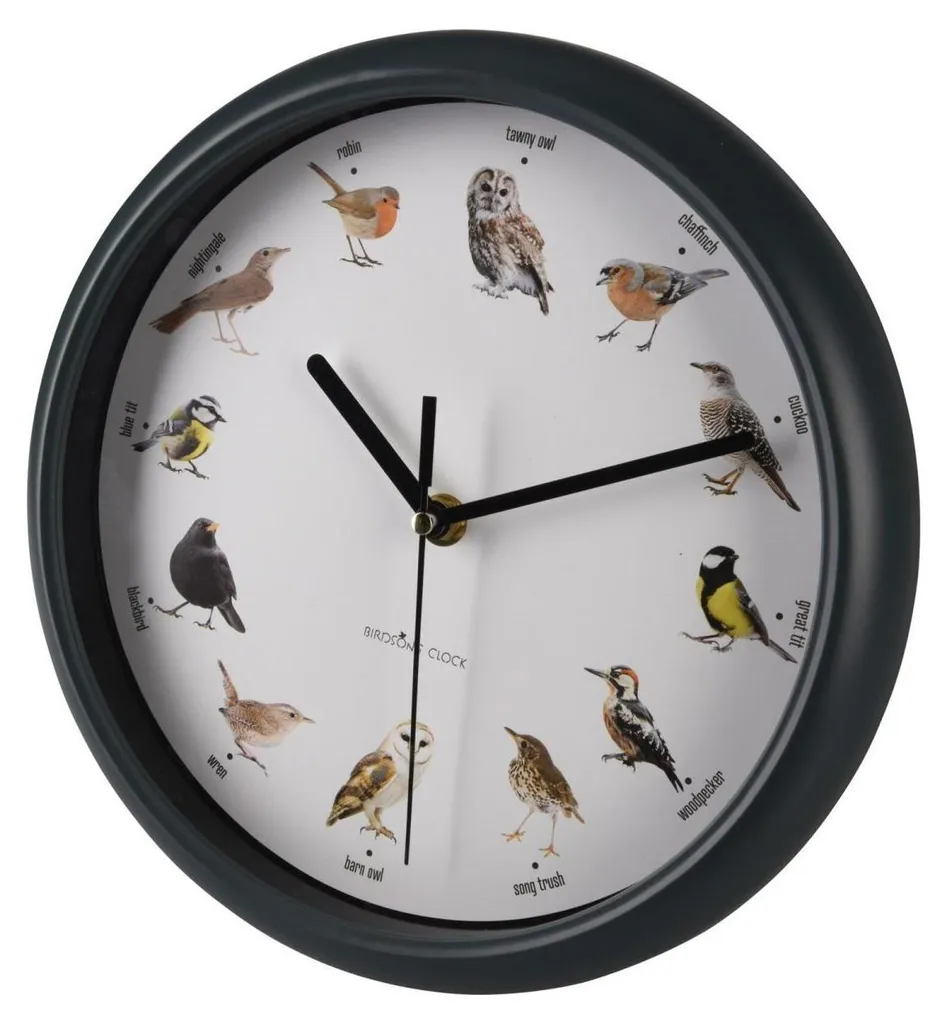 Orologio Canto Uccelli 25cm H&S Collection - Decorazione Casa Nature