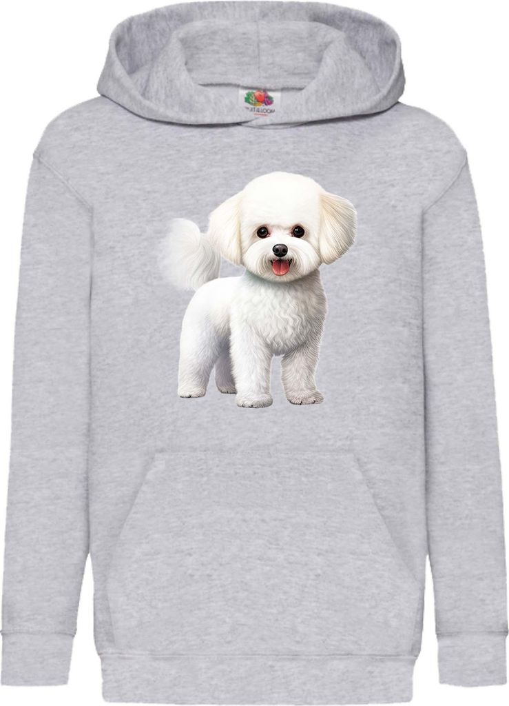 Kinder Kapuzenpullover Dogs Breeds Bichon Frise Dog Breed 005, 12-13 Jahr - 152 / Grau