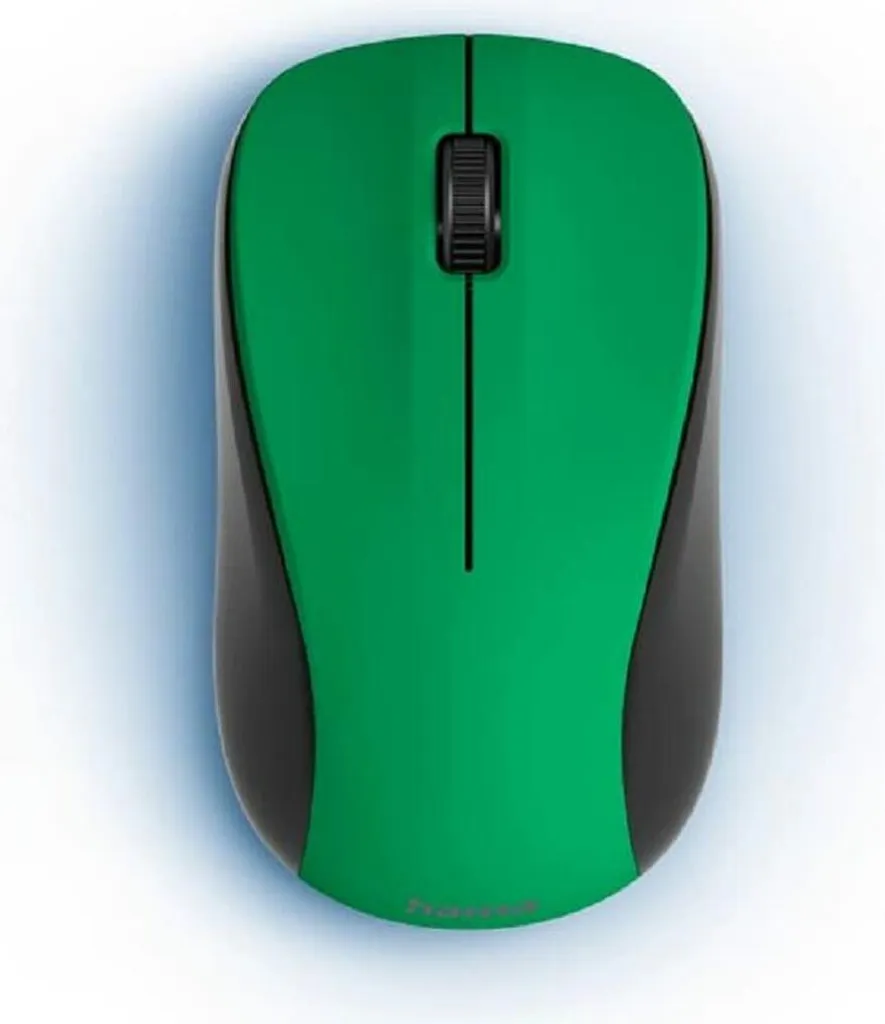 Souris d'ordinateur sans fil Hama MW-300 V2 - Accessoire PC ergonomique