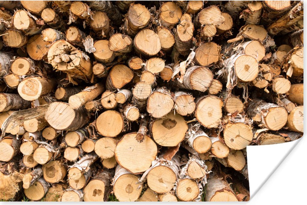 MuchoWow Poster Ein Haufen gefällter Baumstämme 30x20 cm - Plakate - Print
