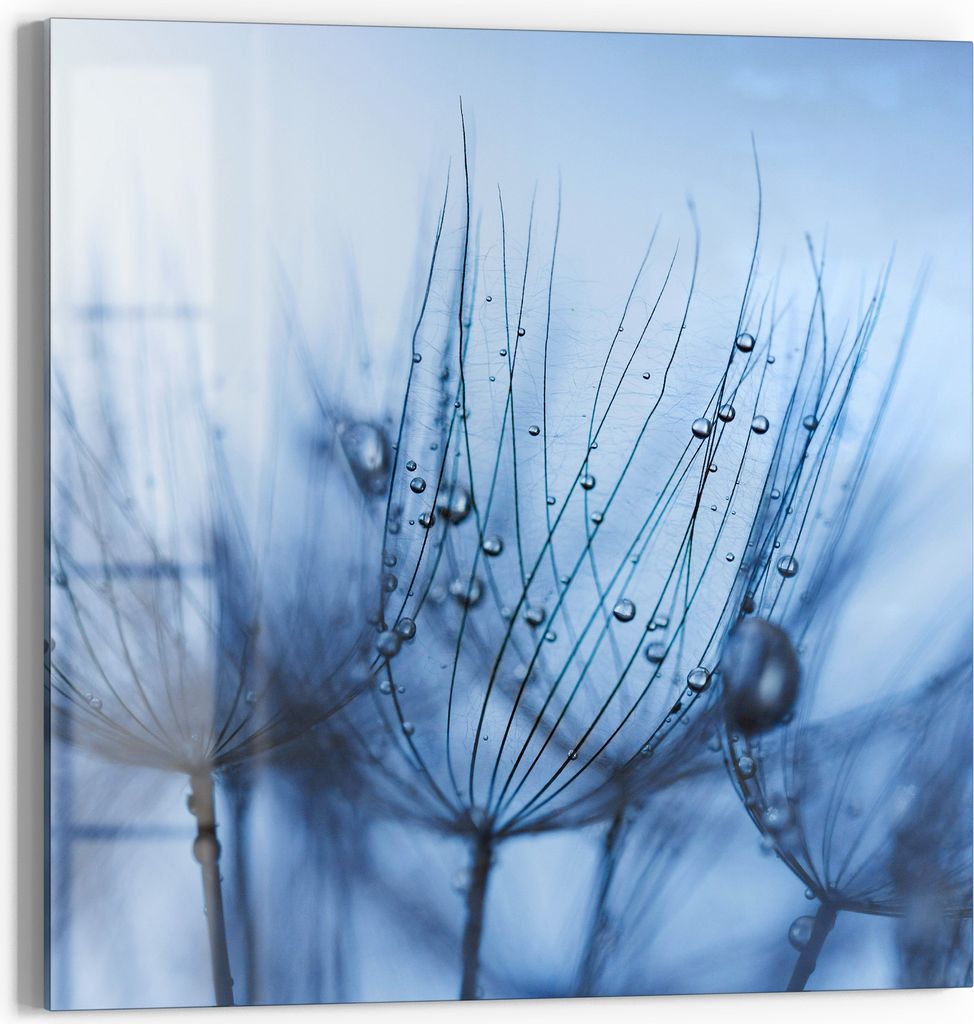 DEQORI Magnettafel Glas 50x50 cm 'Pusteblumenperlen' beschreibbar Whiteboard Küche