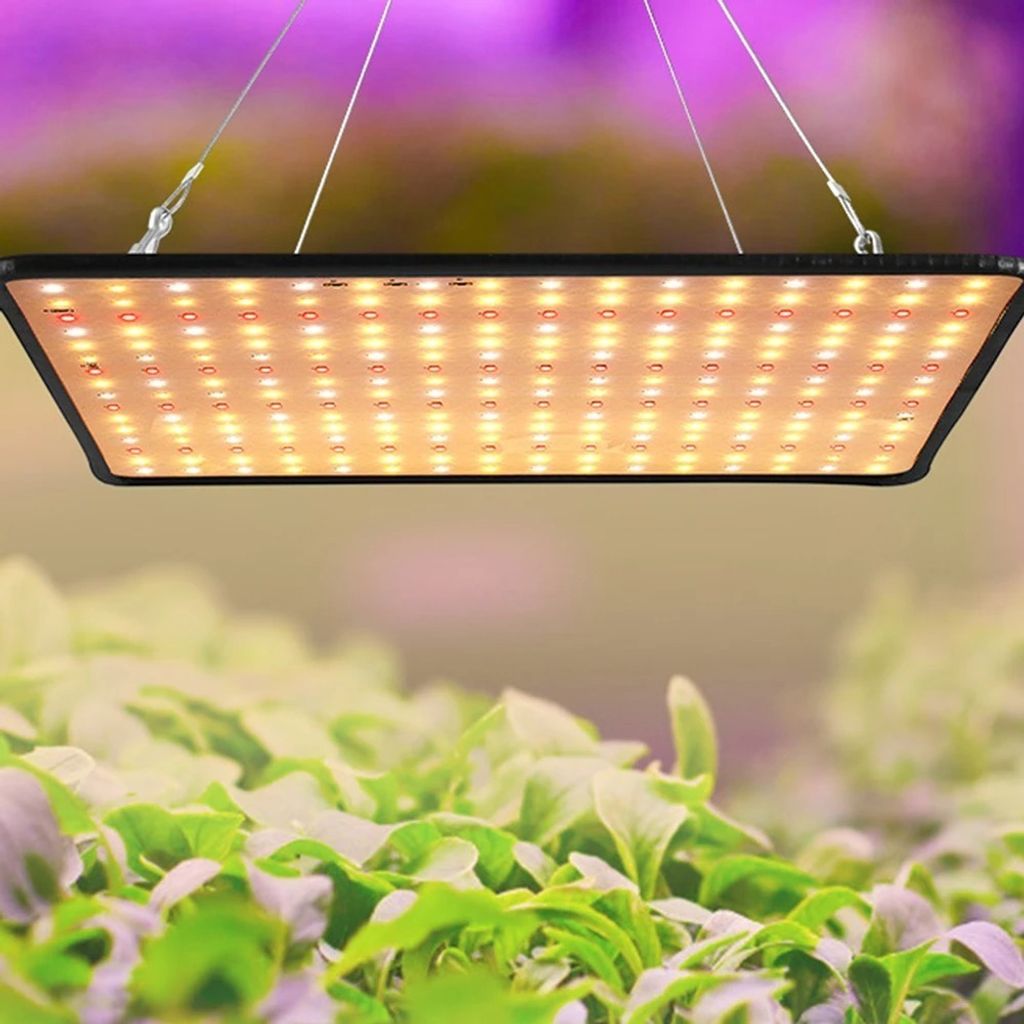 LED Vollspektrum Phytolampe für Pflanzen wachsen Licht Indoor Blume Samen Hydroponik Kultivierung Phyto Lampe Quantum Board LED-Licht