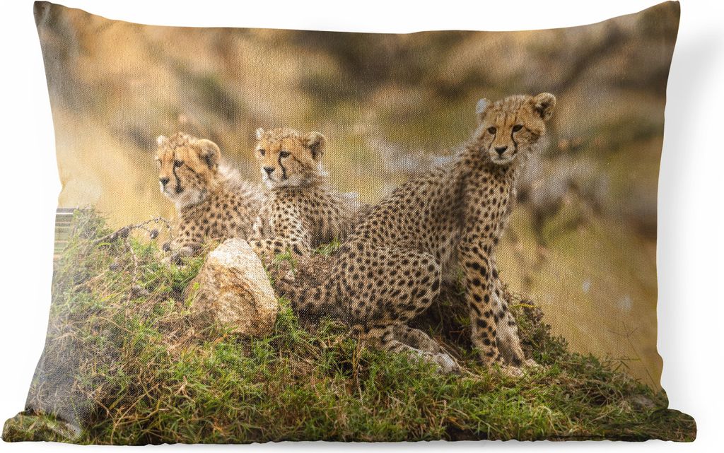 MuchoWow® Outdoor Kissen - Leopard - Wald - Tier - 50x30 cm Produktbild 