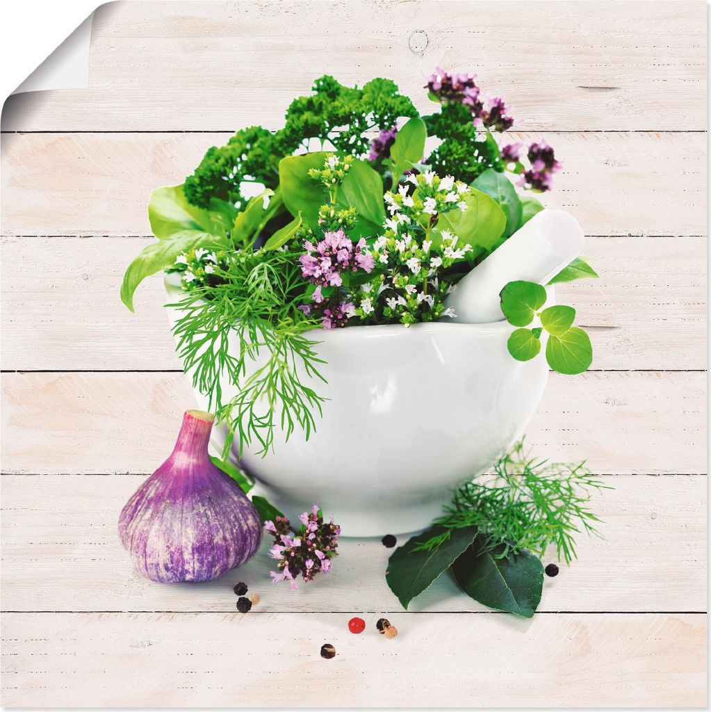 ARTland Poster Heilkräuter auf weißem Hintergrund Küche Größe: 50x50 cm