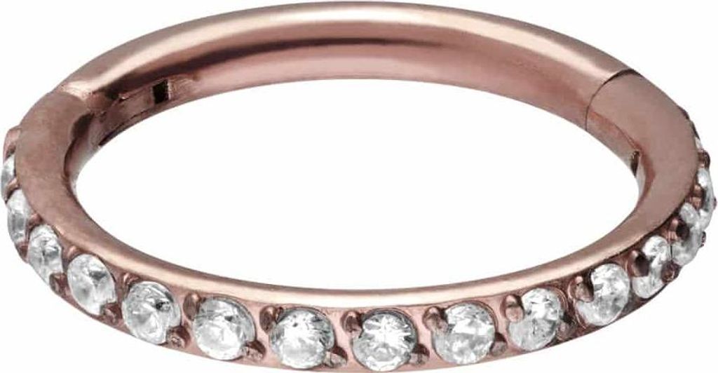Ohrpiercing, Nasenpiercing, Septum Piercing Titan Segmentring Clicker EINGEFASSTE KRISTALLE RoséGold Innendurchmesser: 8mm + Stabstärke: 1,2mm