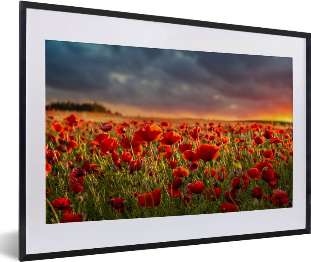 MuchoWow Gerahmtes Poster Sonnenuntergang - Mohnblumen - Rot - Blumen - Feld - Natur 60x40 cm - Poster mit Schwarzem Bilderrahmen Wandposter Rahm...