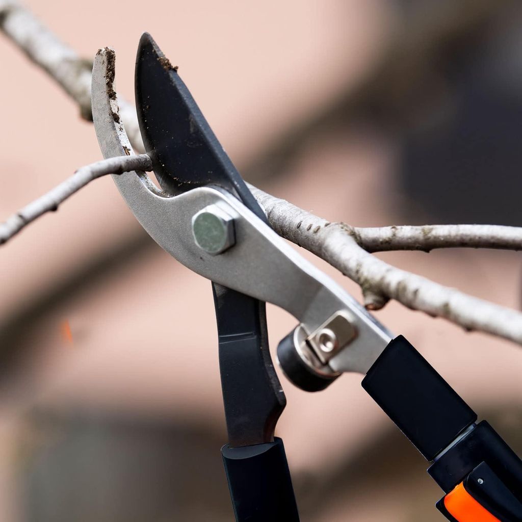 Teleskopische Gartenschere mit geschmiedeter rostfreier Stahlklinge und teleskopischen Aluminiumgriffen