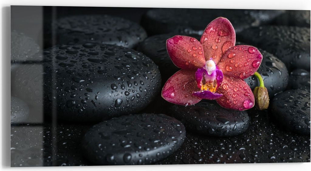 DEQORI Glasbild Echtglas 60x30 cm 'Blüte und Steine benetzt' Wandbild Bild modern Deko