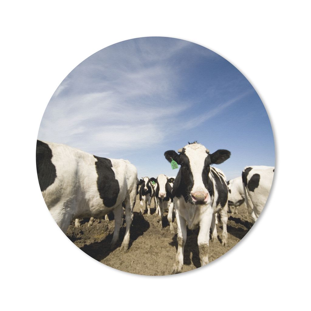 MuchoWow Mauspad Mousepad Kuh - Sand - Tiere 20x20 cm - Mousepads - Maus Mat - Pad - Mausunterlage - Schreibtischmatte