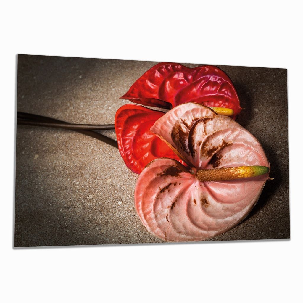 Wallario Herdabdeckplatte aus Glas, Größe 90 x 52 cm 1-teilig, Motiv Blüten einer Flamingoblume - Anthurie - auf schwarzem Marmor